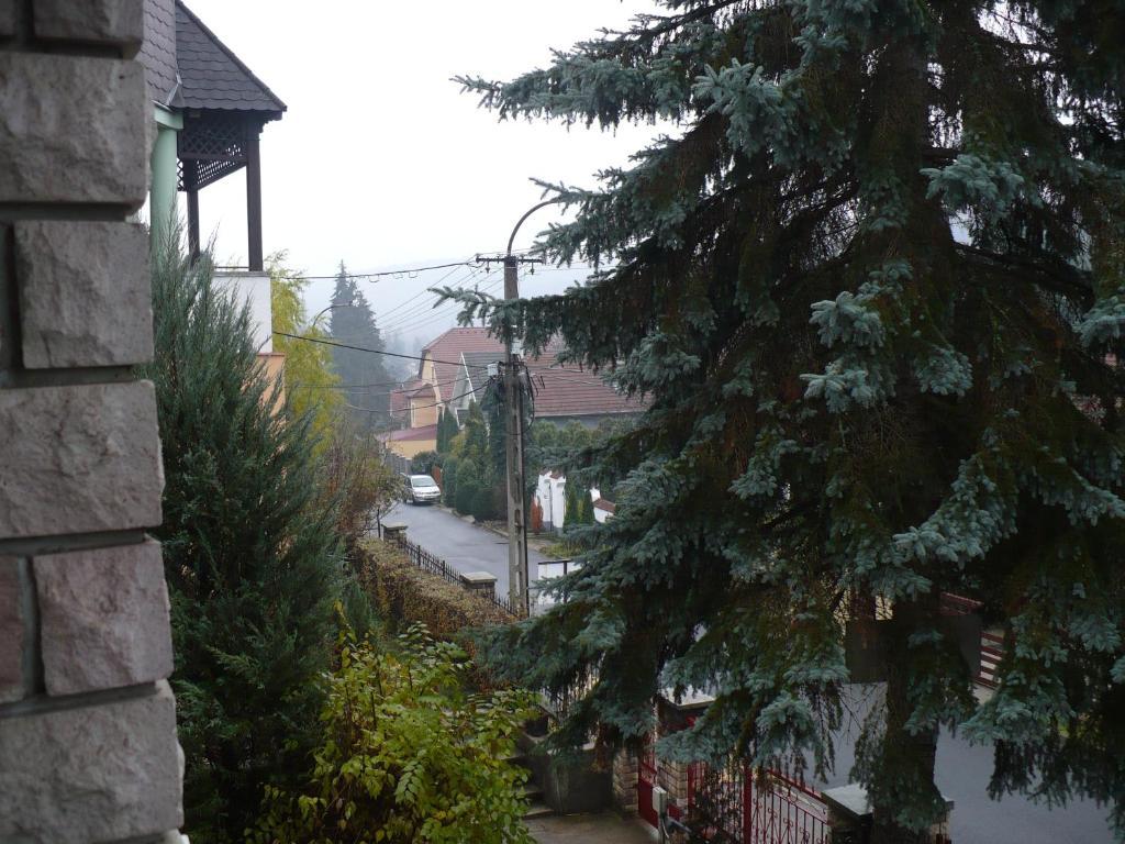 Appartamento Kitty Apartman Miskolc Esterno foto