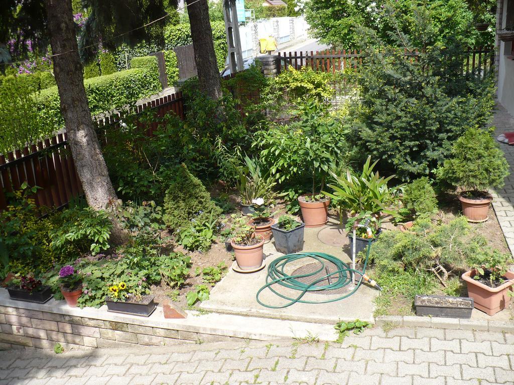 Appartamento Kitty Apartman Miskolc Esterno foto